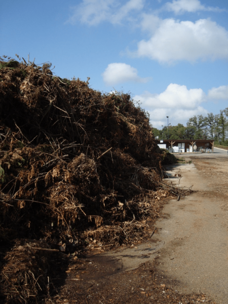 Décomposition des déchets